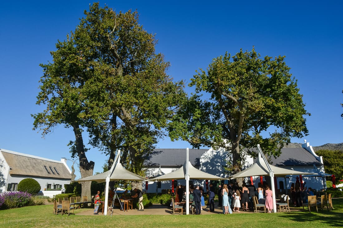 Read more about the article Wedding Tips: Predrinks (Week 12)