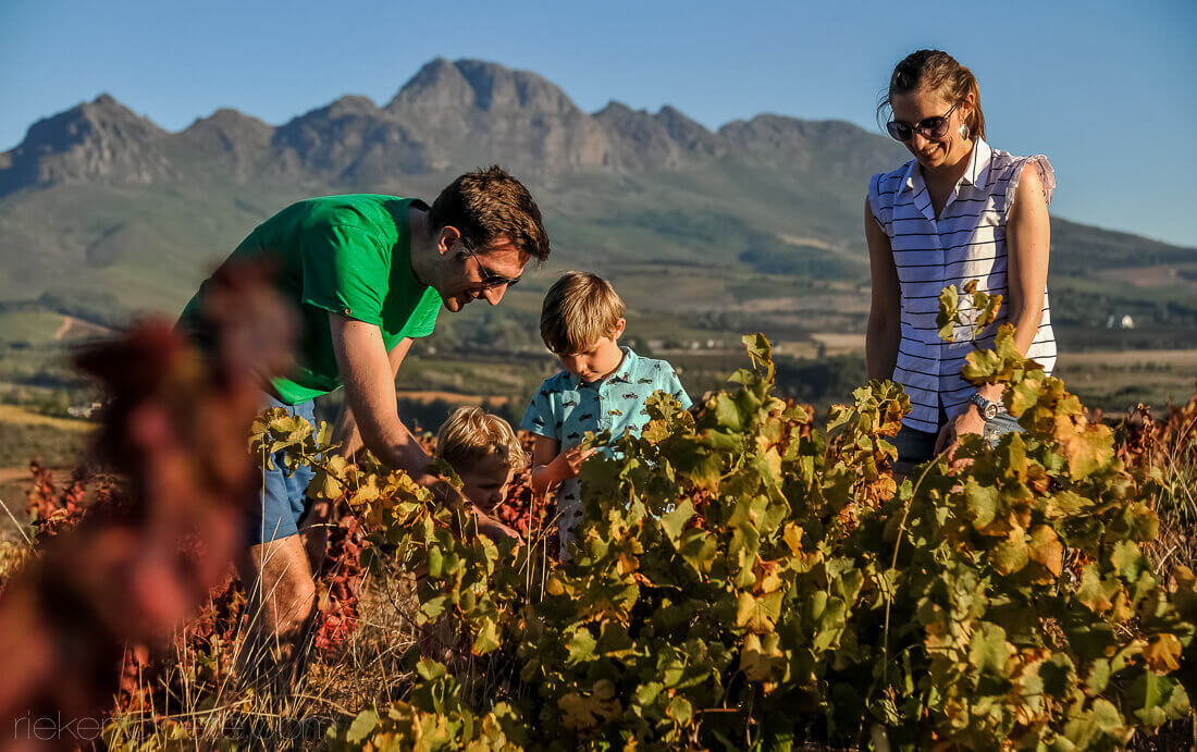 Family looking at vineyards