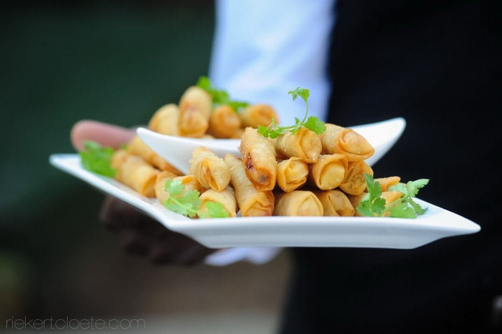 springrolls on plate