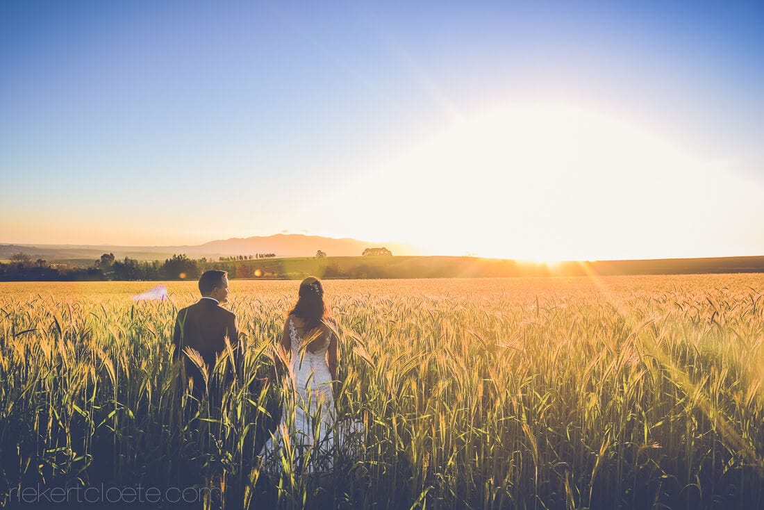 Langkloof Roses wedding couple