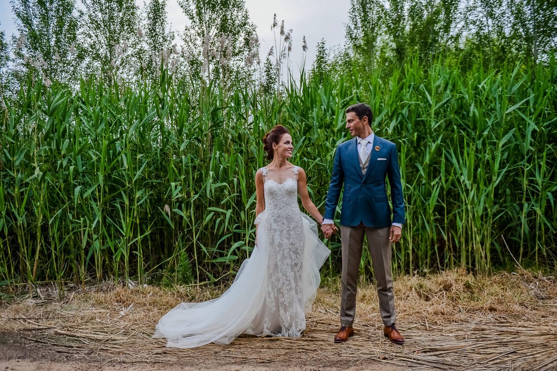 Vrede and Lust landscape