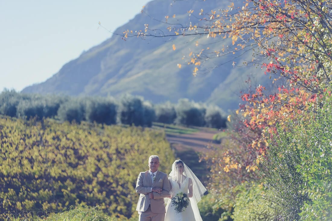 Dad and Daughter at Tokara