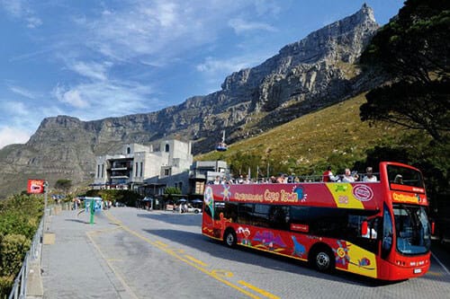 Cape Town Things to Do with Kids