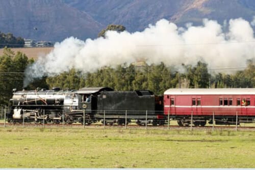 Cape Town Things to Do with Kids