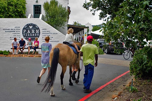 Markets in Cape Town