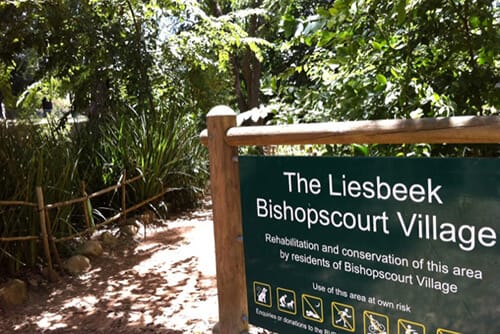 Stuff to Do in Cape Town