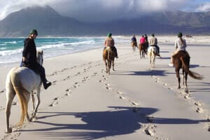 Horses on the Beach