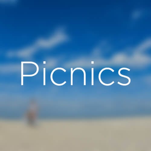Picnics