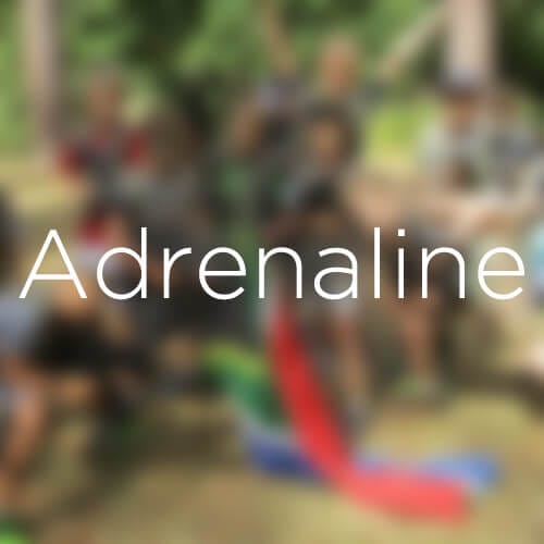 Adrenaline