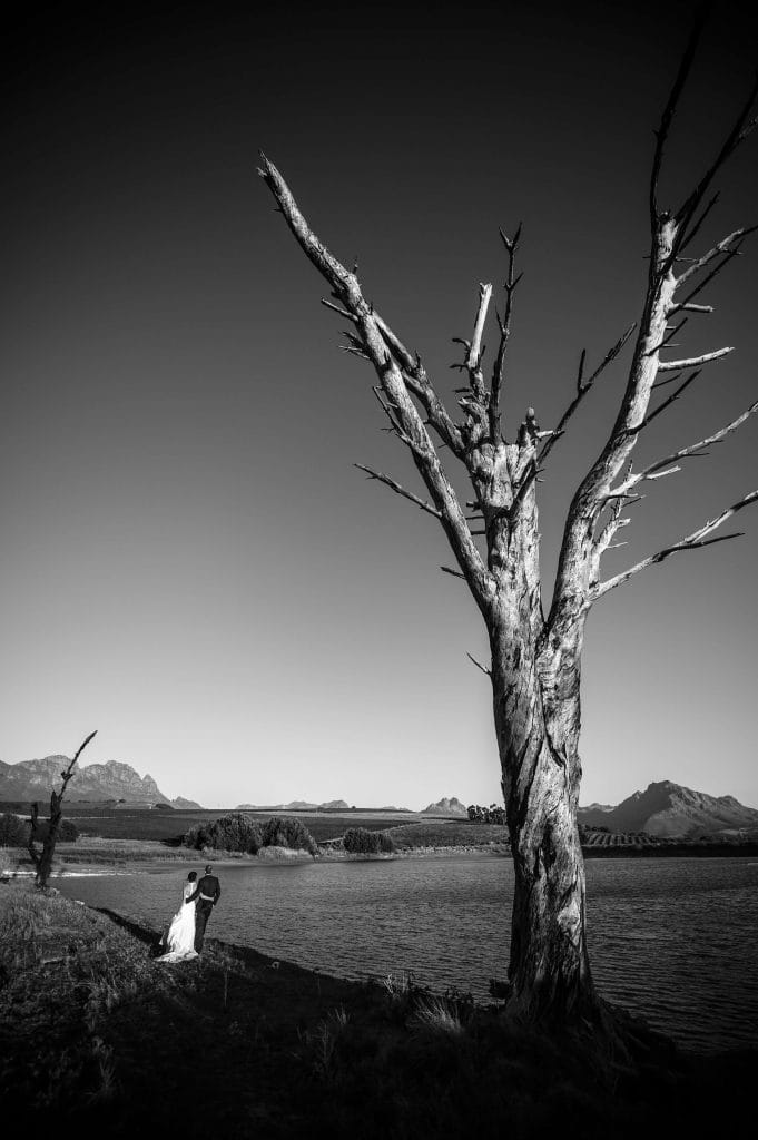 Wedding couple in a dry lake, desolate tree in frame