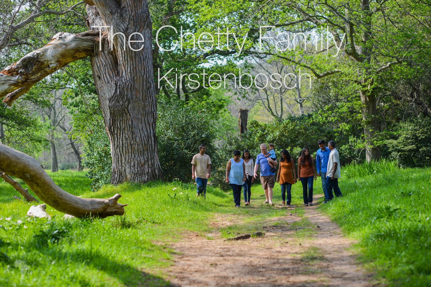 Read more about the article Family shoot in Kirstenbosch