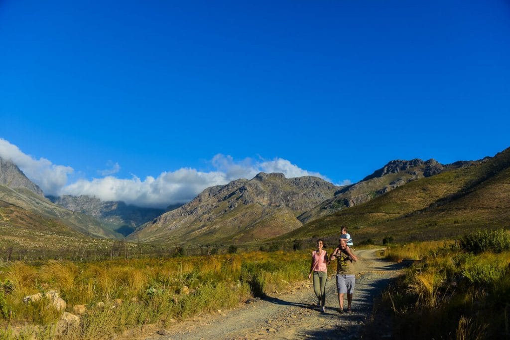 Stellenbosch family shoot