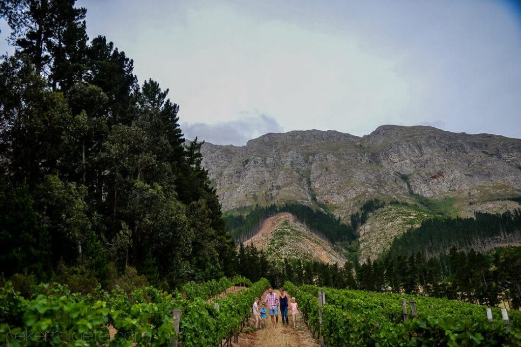 Franscchoek Family shoot