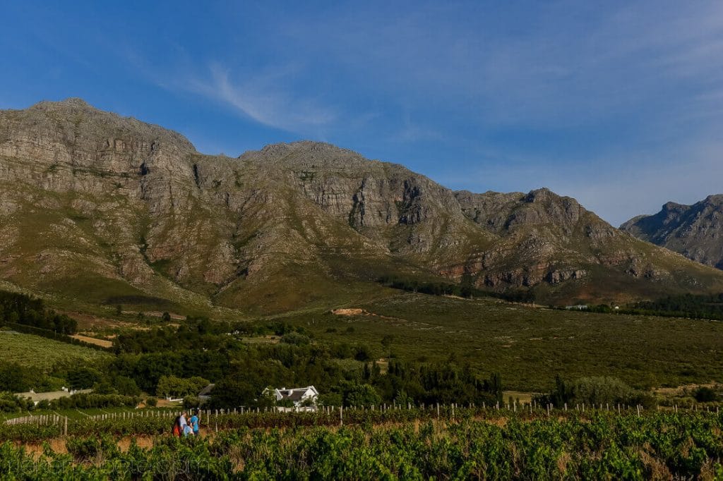 Family shoot in Stellenbosch