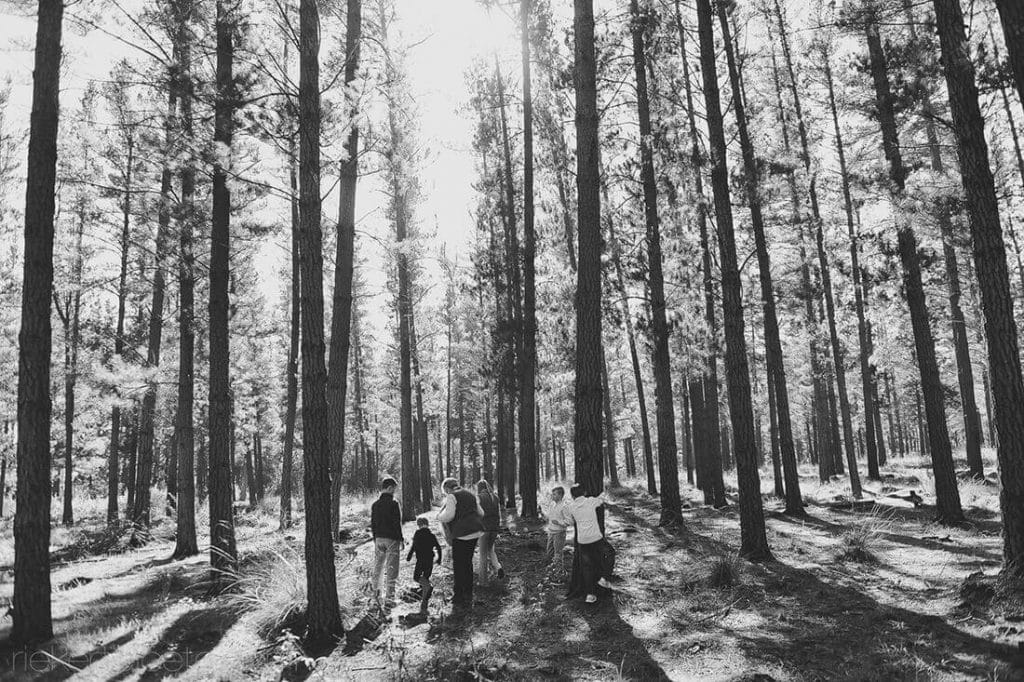 Black and white forrest