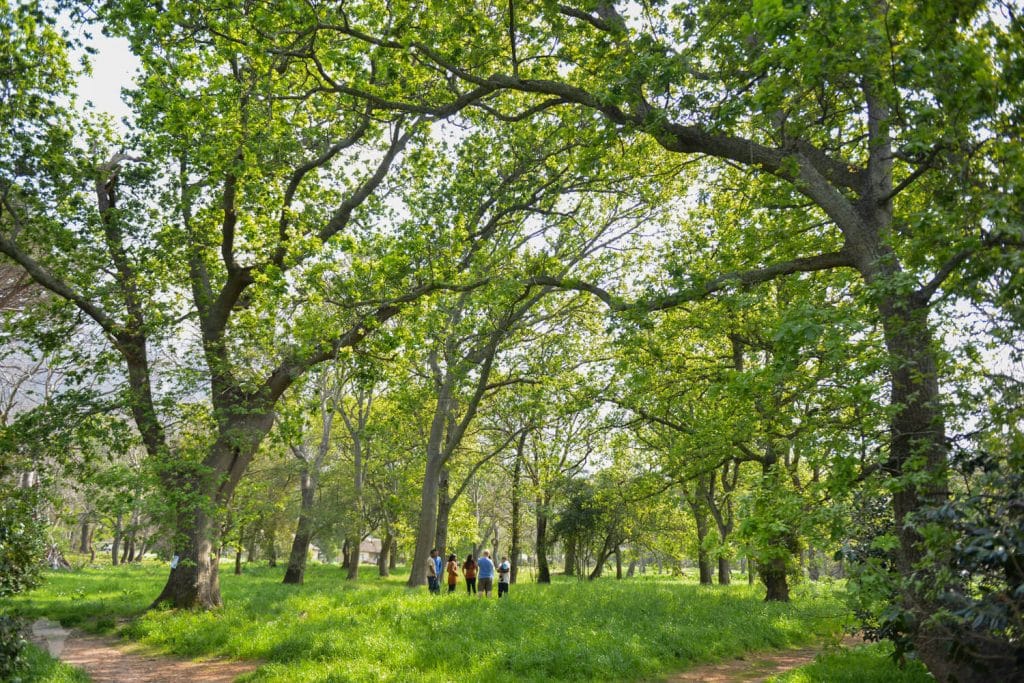Kirstenbosch family shoot