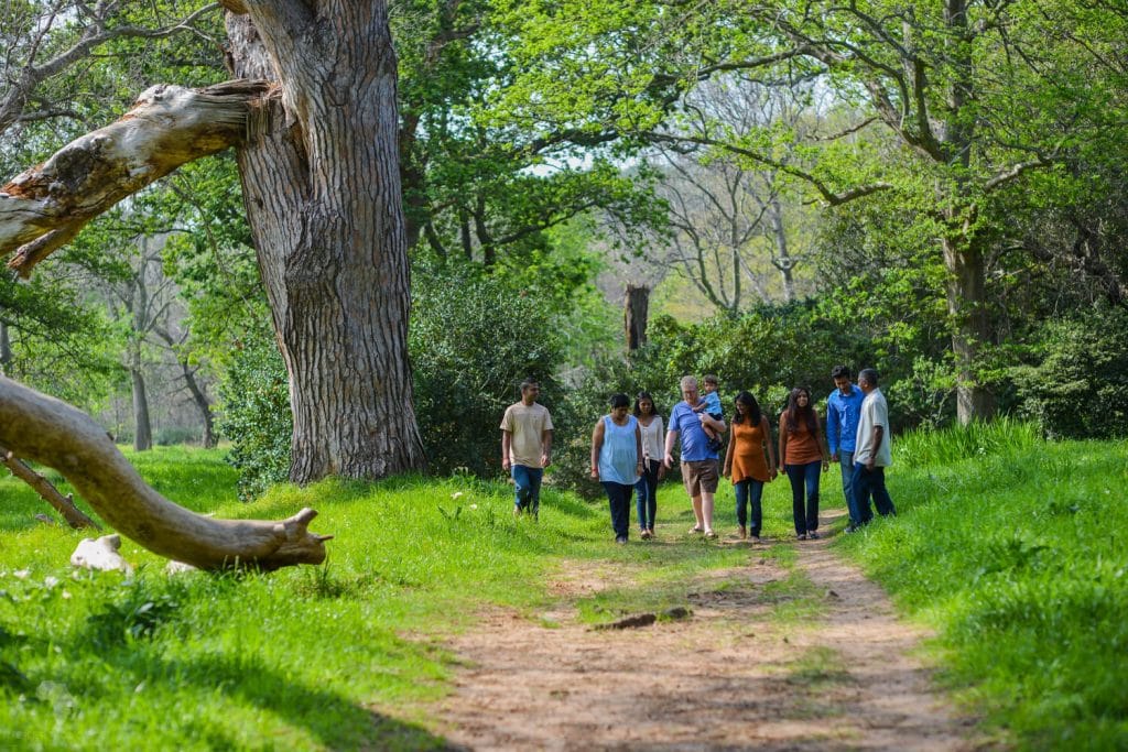 Family walking