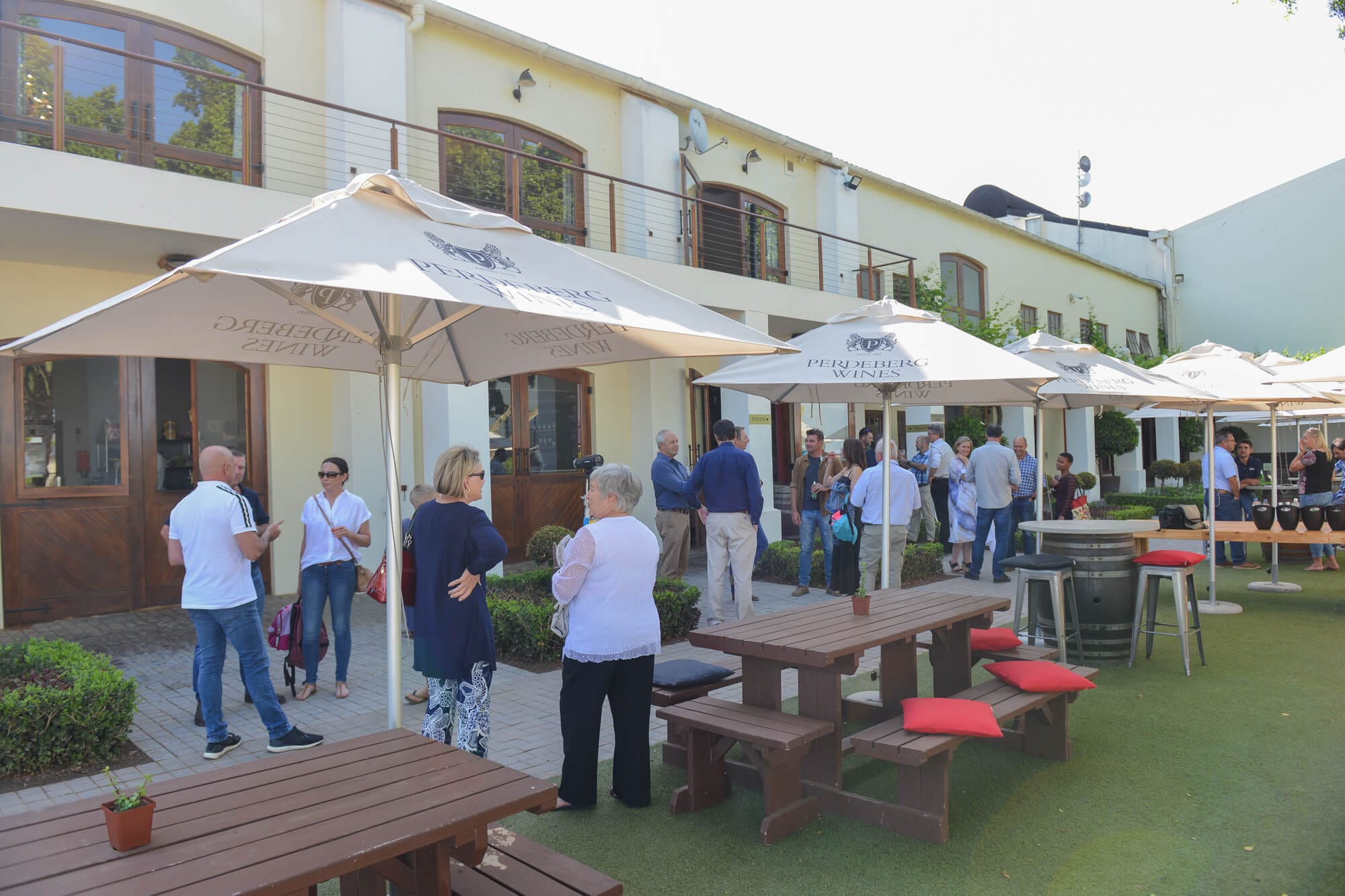 Read more about the article Corporate Event: Winelands Veterinary practice