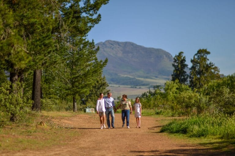 Family walking in a forest near Cape Town in autumn