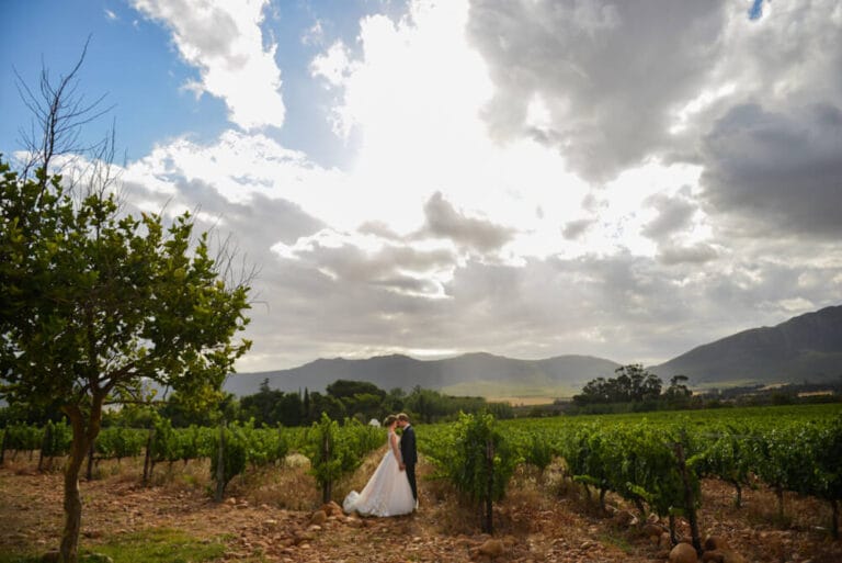 Montpellier de Tulbagh weddings 26