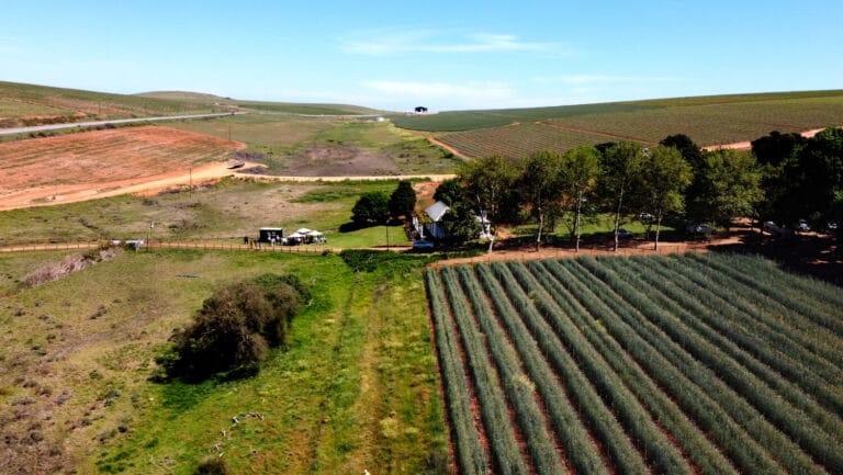 Drone Survivor Photos OCT 202211