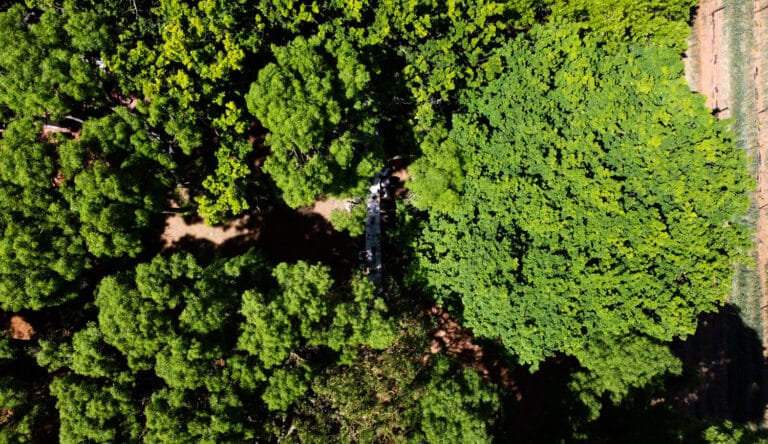 Drone Survivor Photos OCT 202219