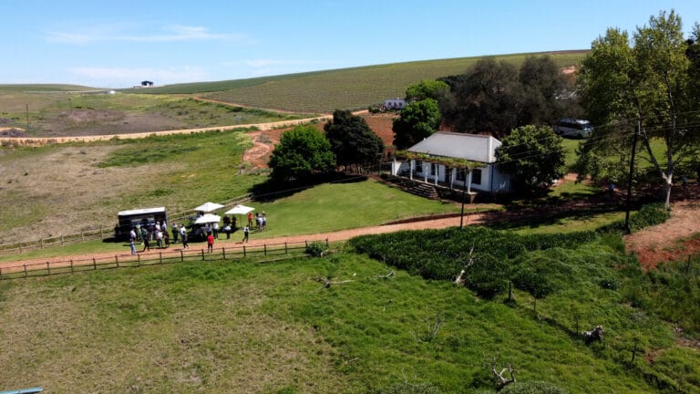 Drone Survivor Photos OCT 20222