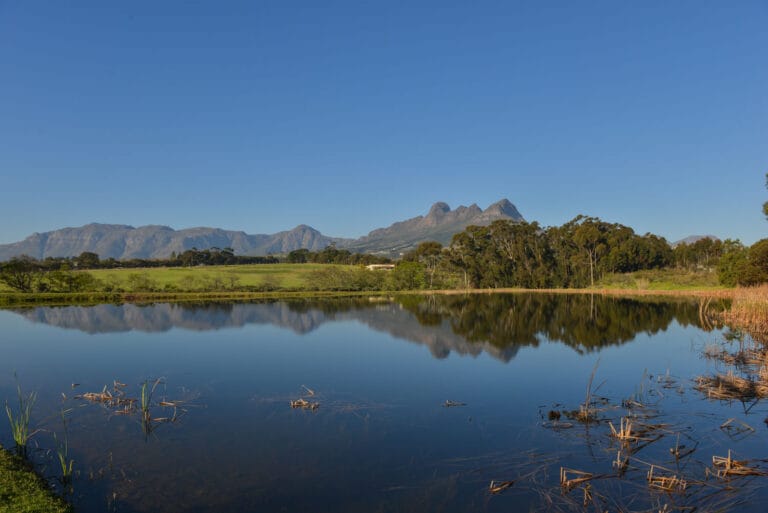 Somerset West family photography15