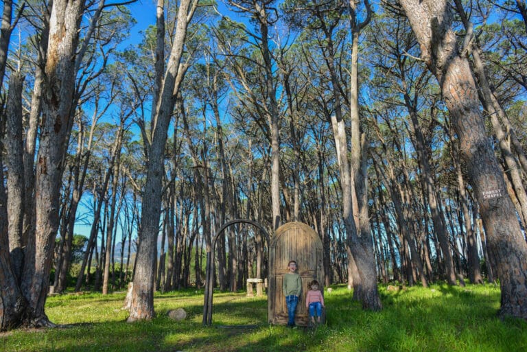 Somerset West family photography4 1