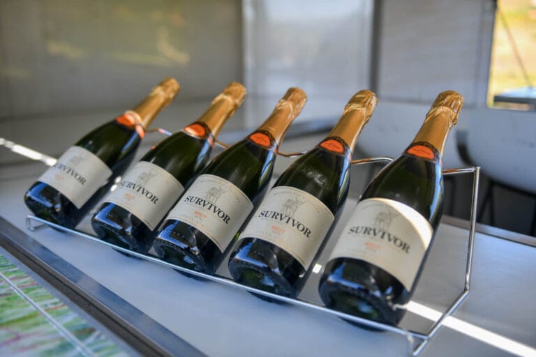 Survivor Launch OCT 2022 0065