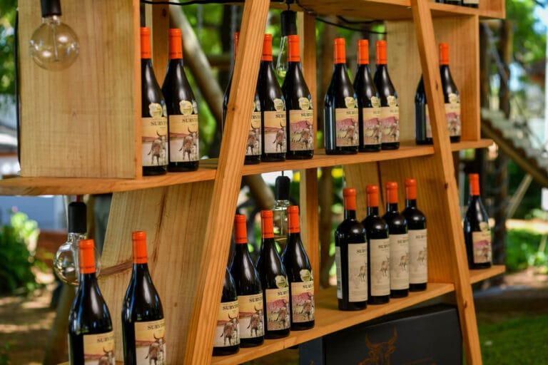 Survivor Launch OCT 2022 0197