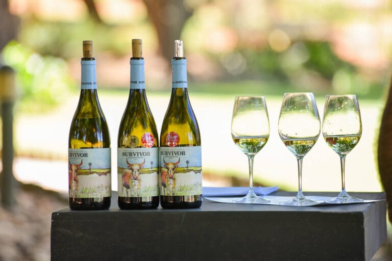 Survivor Launch OCT 2022 0235