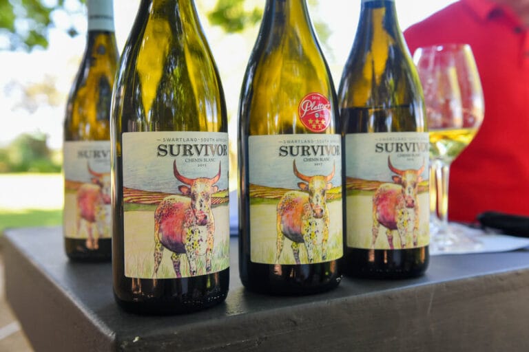 Survivor Launch OCT 2022 0329