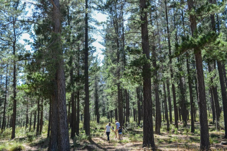 Stellenbosch Family photographer 202020