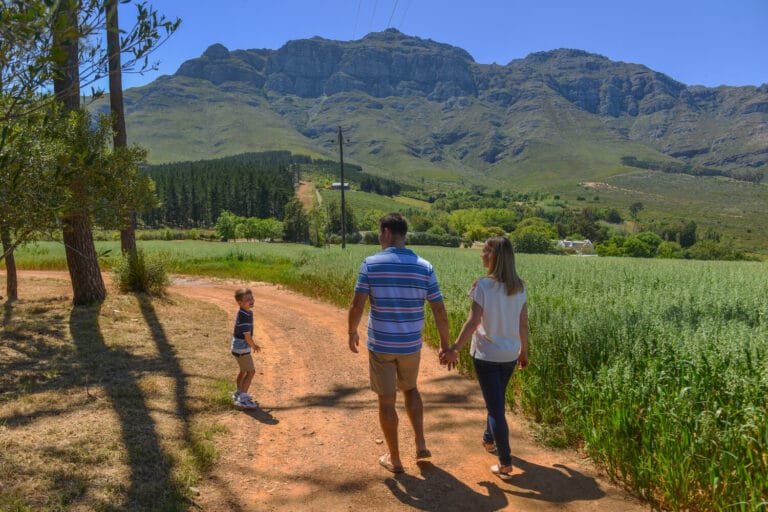 Stellenbosch Family photographer 202022