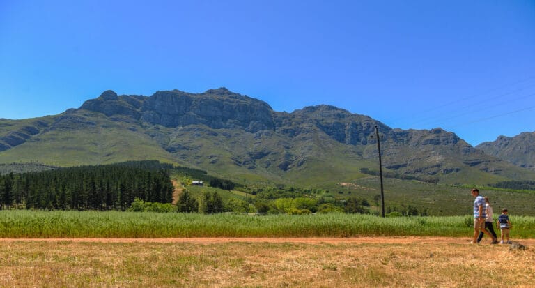 Stellenbosch Family photographer 202023