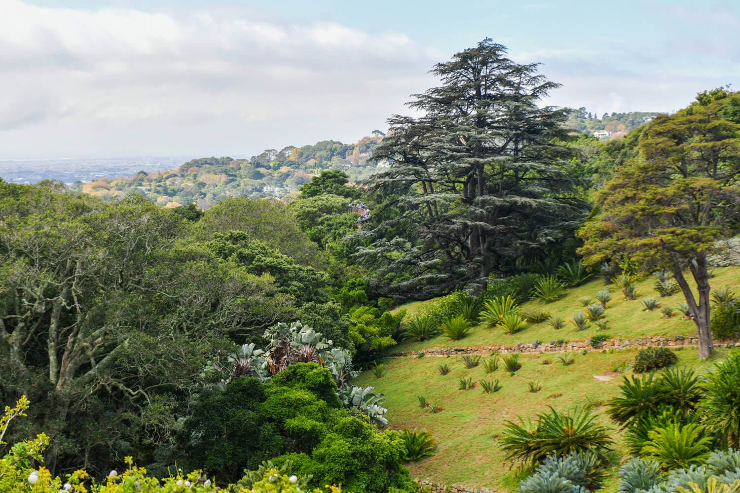 Corportate team building photography in Kirstenbosch Cape town