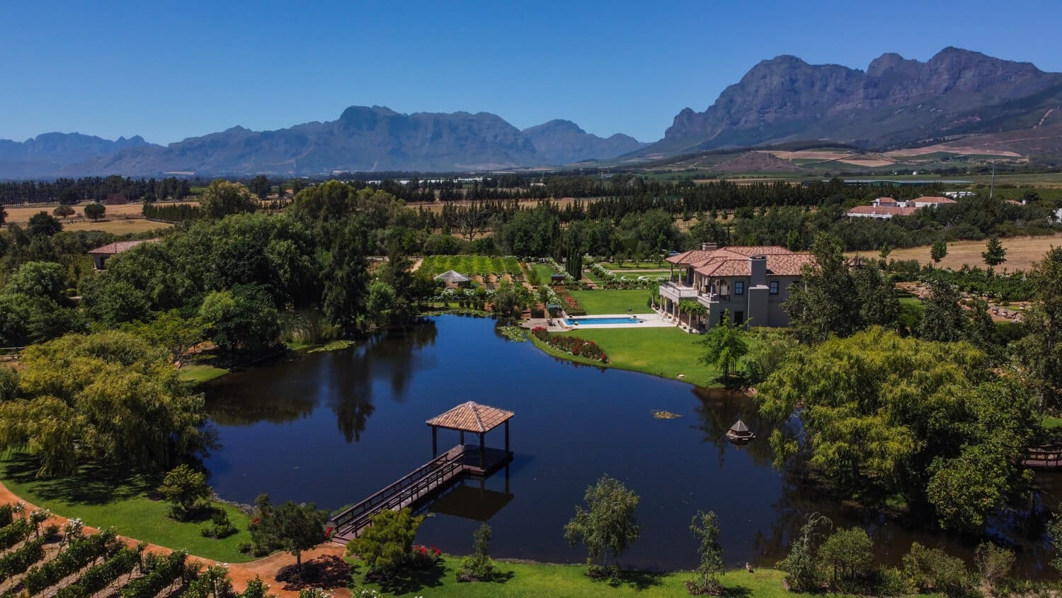 Landscape of Winefarm in Franscchoek