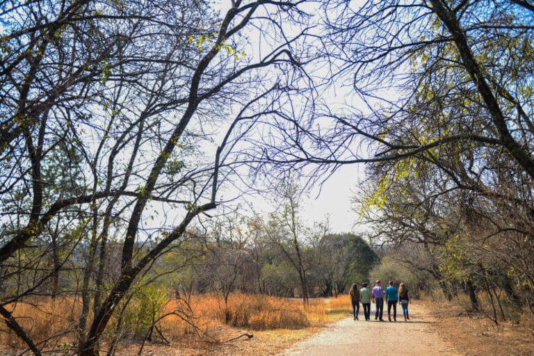 Family photographer Pretoria1