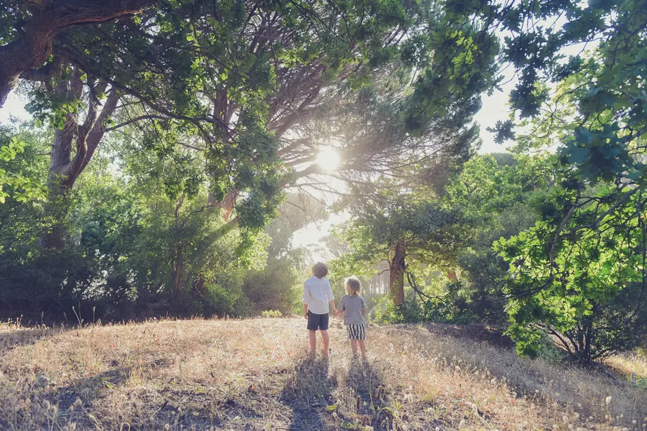 two boys standing in forrest
