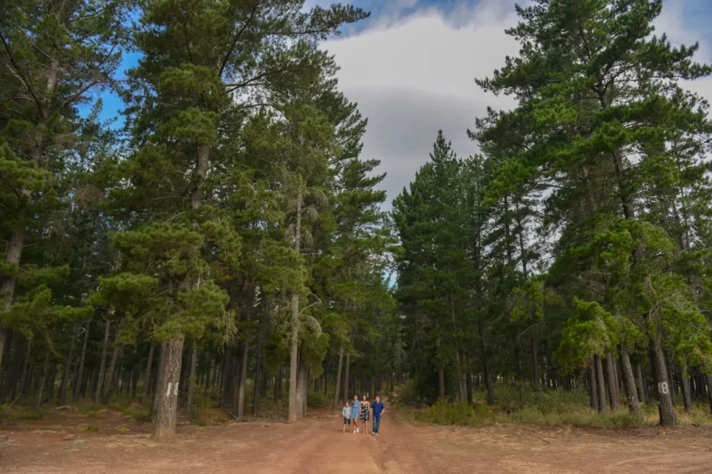 Forrest in Stellenbosch