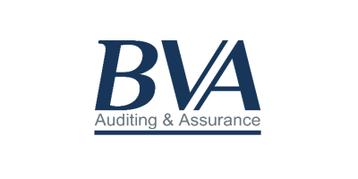 bva auditing
