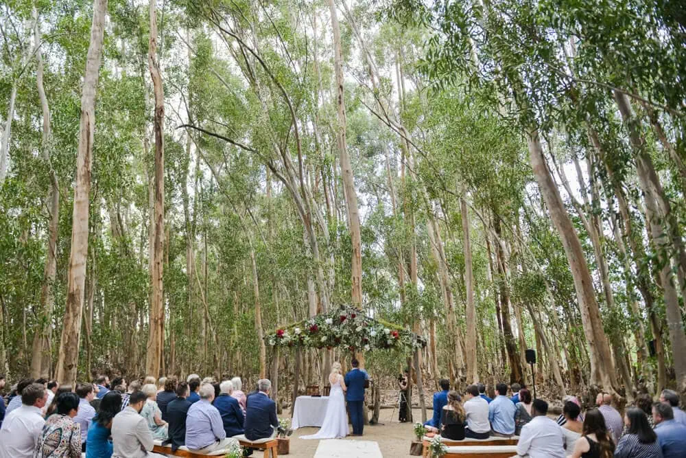 Forest ceremony eucalyptus trees floral arch benches – Allesverloren, Riebeek Valley & Swartland