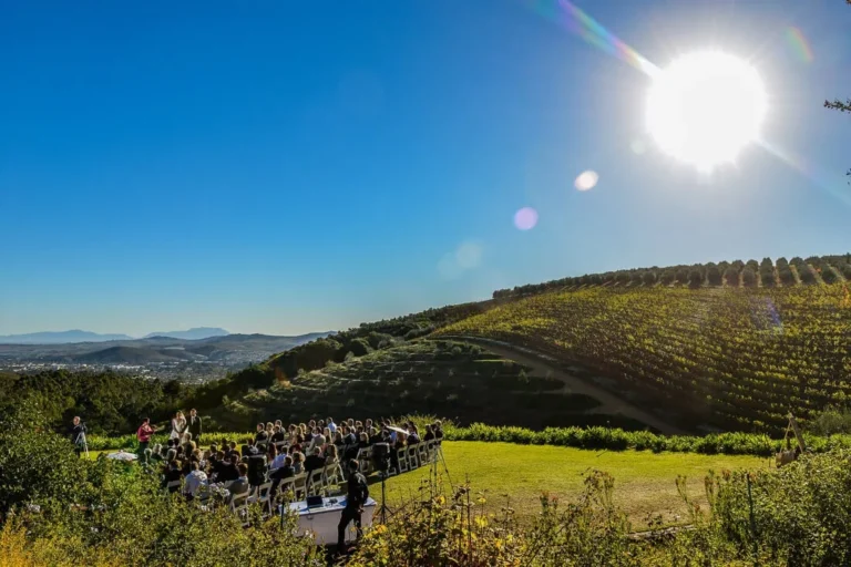 Vineyard hillside outdoor ceremony western cape sunshine – Cape Point Vineyards, Cape Town