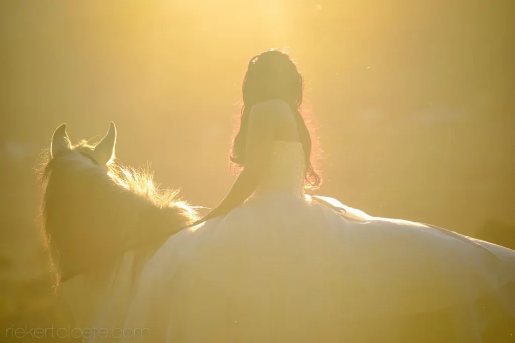 bride ballgown silhouette white horse golden sunset