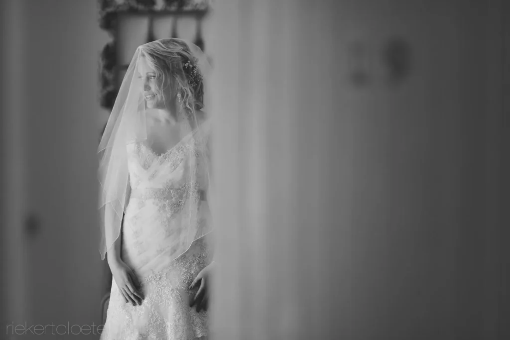 bride lace gown veil smiling soft light waiting