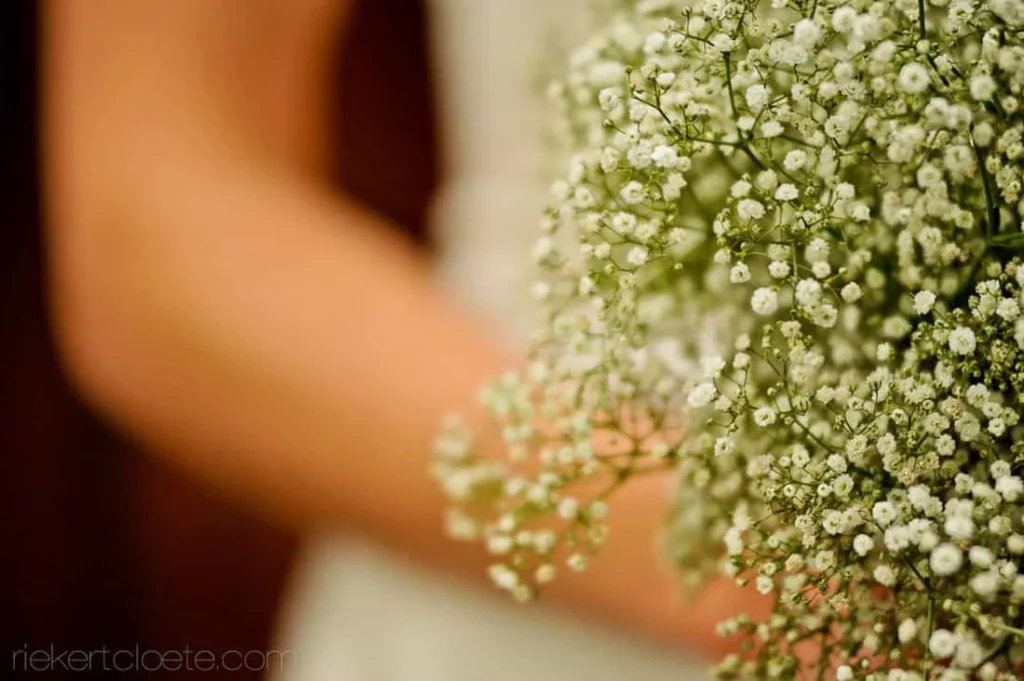 bride oversized babys breath cloud bouquet