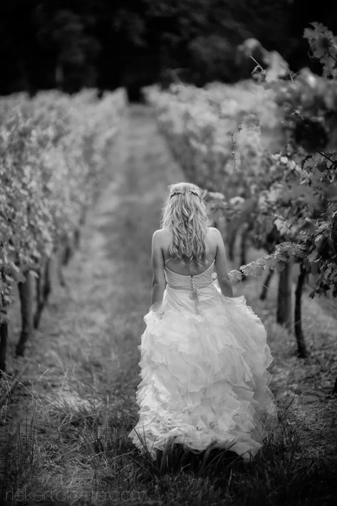 bride ruffled gown walking vineyard row