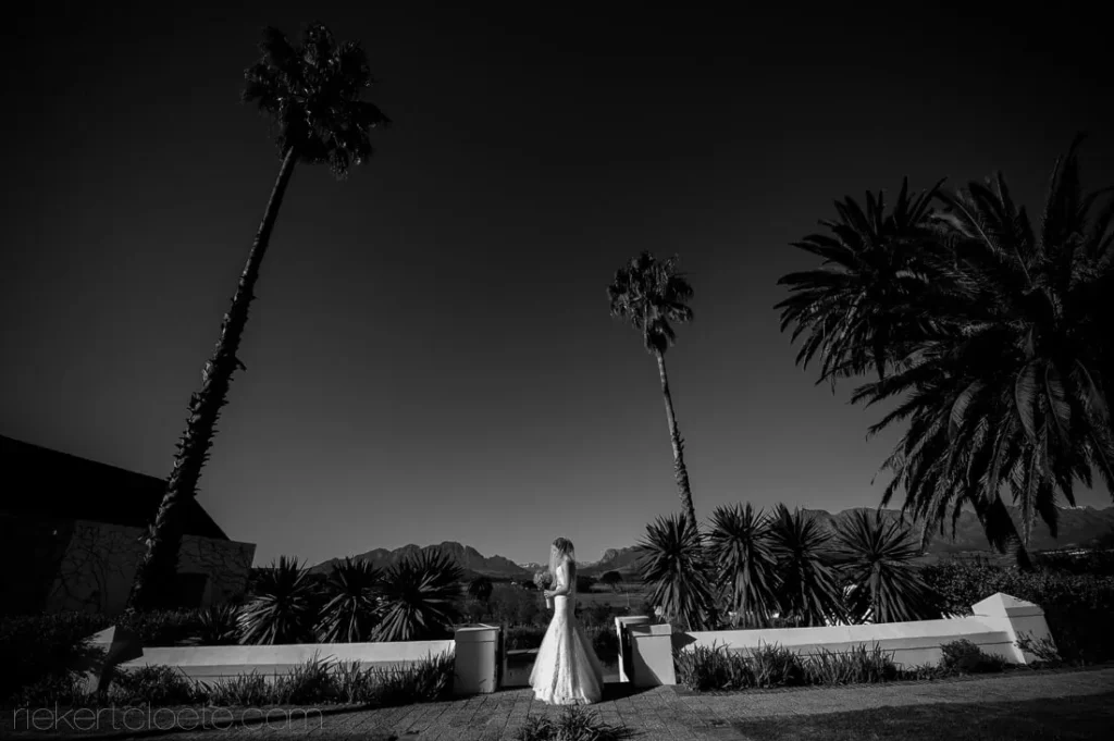 bride standing palm trees white walls wide shot