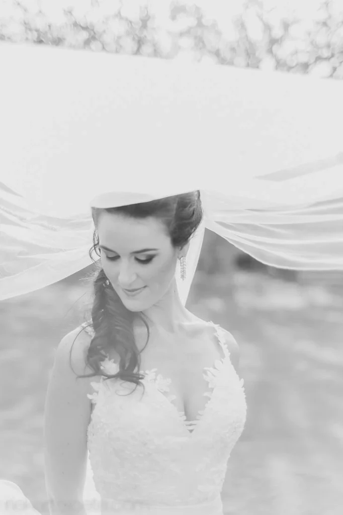 bride veil billowing wind lace gown dreamy outdoors